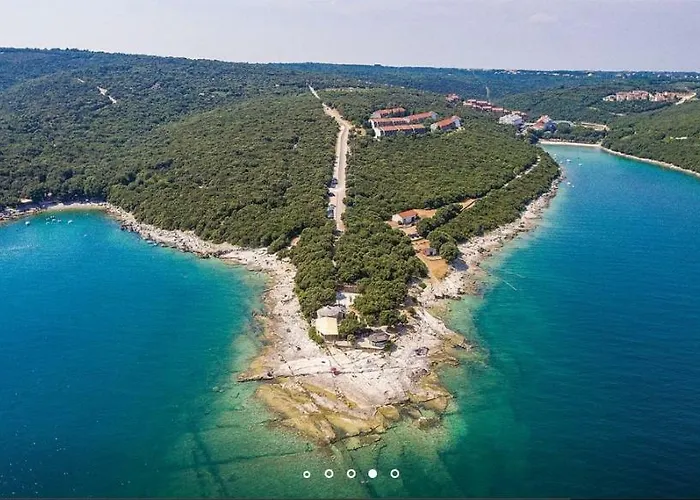 House Hermes * Pavicini