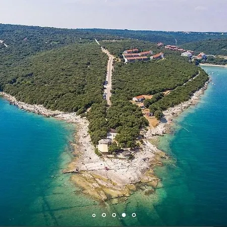 House Hermes * Pavicini